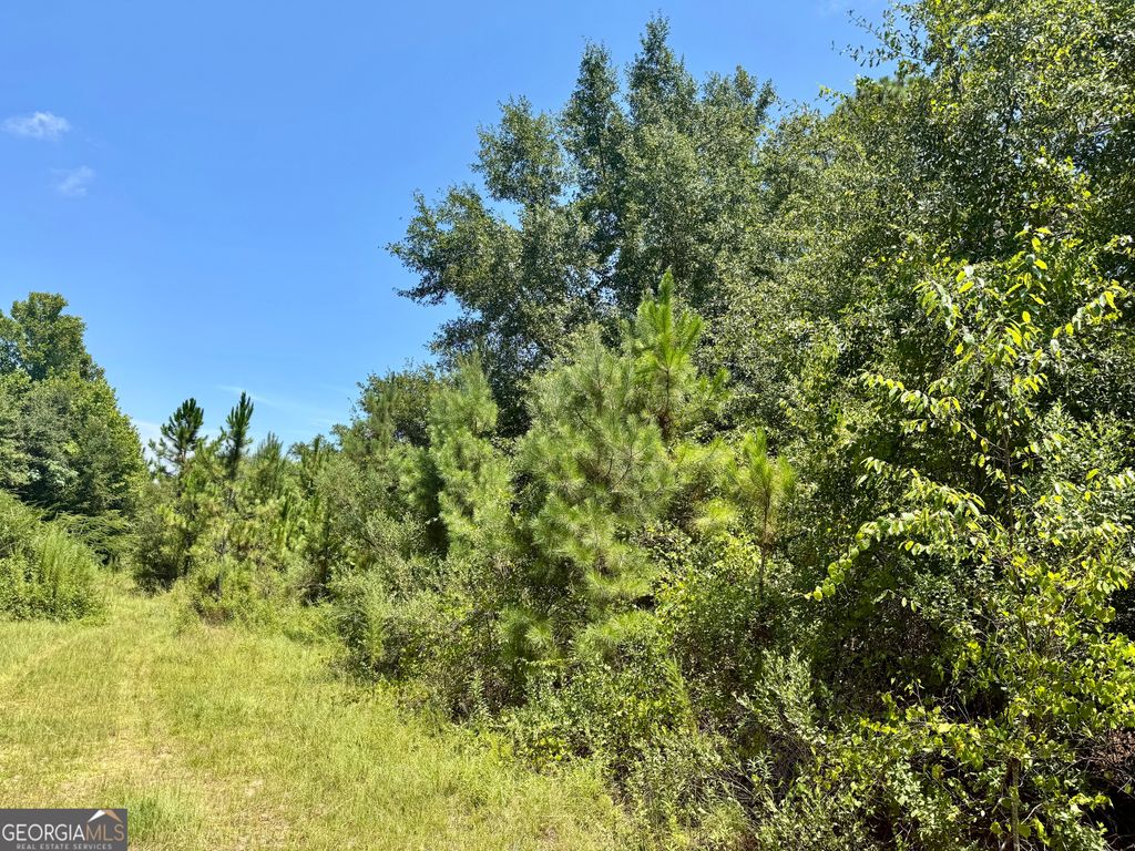 Photo of 0 S Ga 90 Highway, Cordele, GA 31015 (MLS # 10636991)