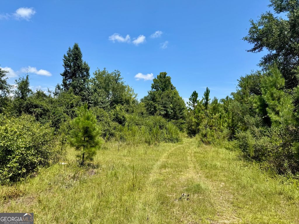 Photo of 0 S Ga 90 Highway, Cordele, GA 31015 (MLS # 10636991)