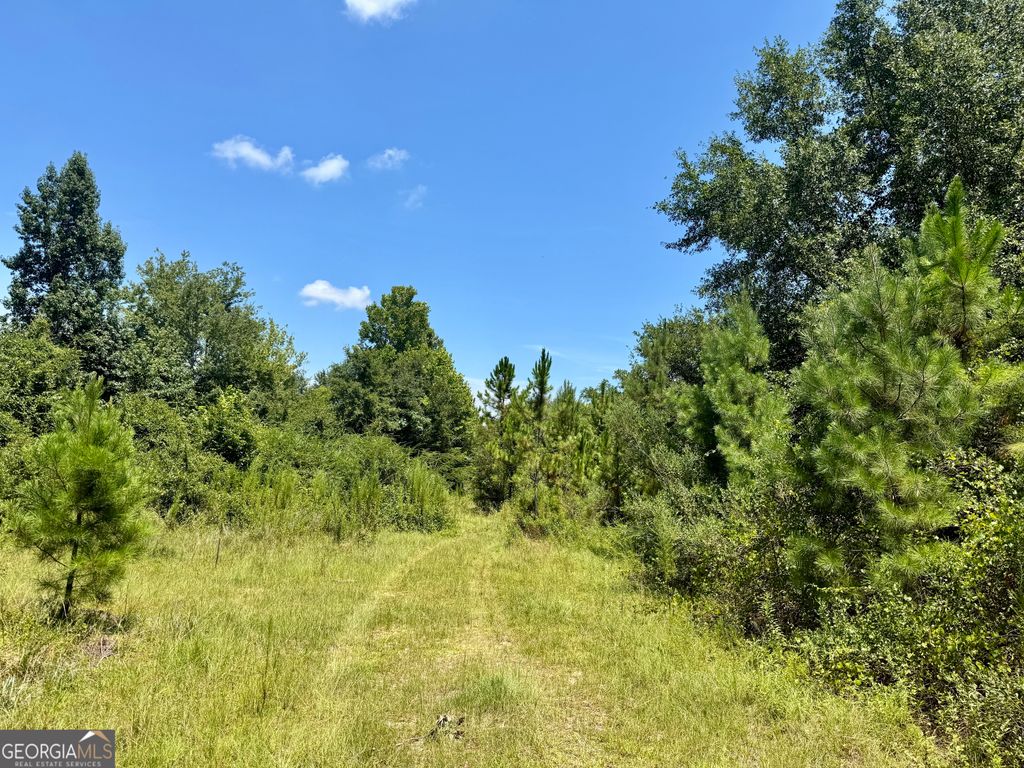 Photo of 0 S Ga 90 Highway, Cordele, GA 31015 (MLS # 10636991)