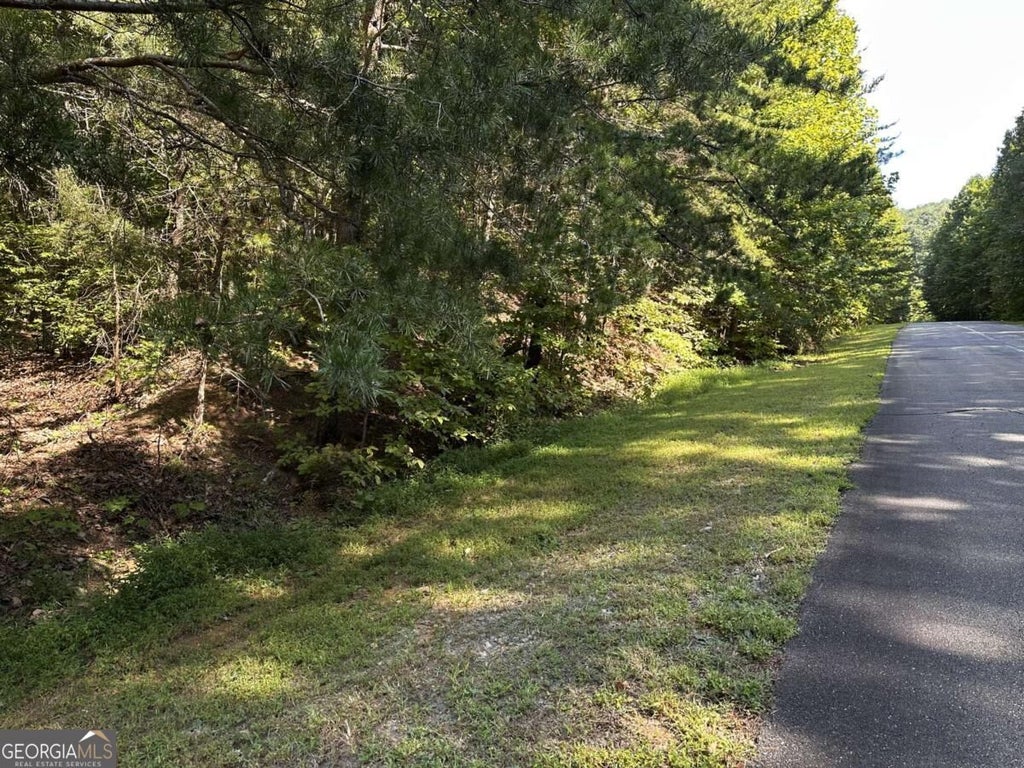 Photo of 50 St Andrews Way, Ellijay, GA 30536 (MLS # 10846683)