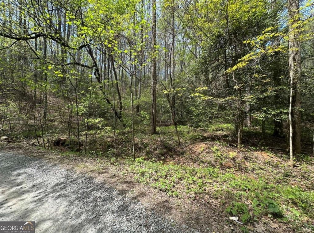 Photo of 20 Big Ben Road #20, Ellijay, GA 30540 (MLS # 10731641)