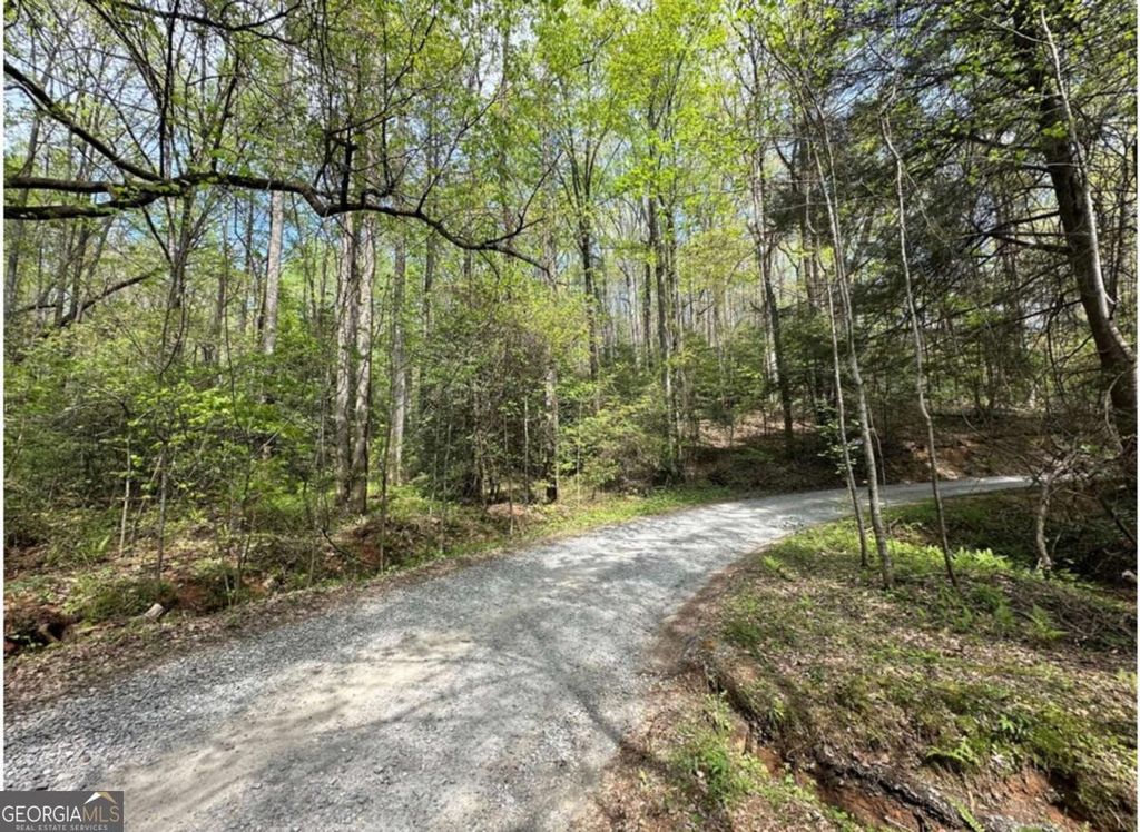 Photo of 20 Big Ben Road #20, Ellijay, GA 30540 (MLS # 10731641)