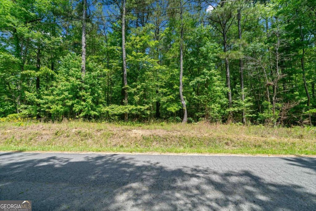 Photo of 0 Timberwood Road NW #1, White, GA 30184 (MLS # 10517504)