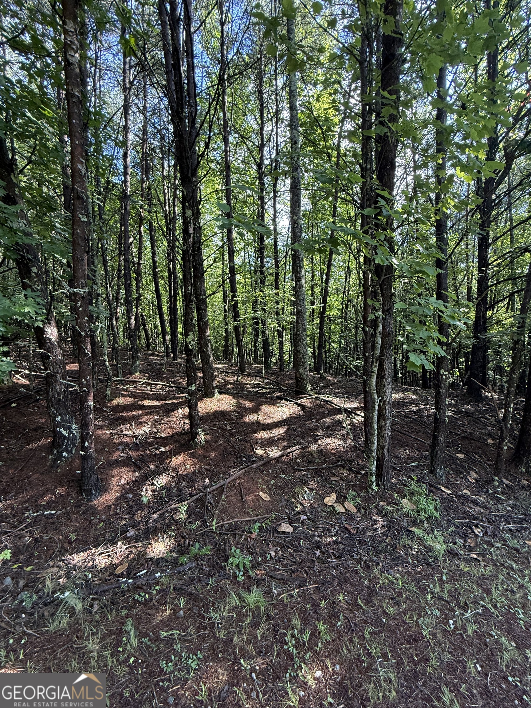 LOT 5 Marci LN