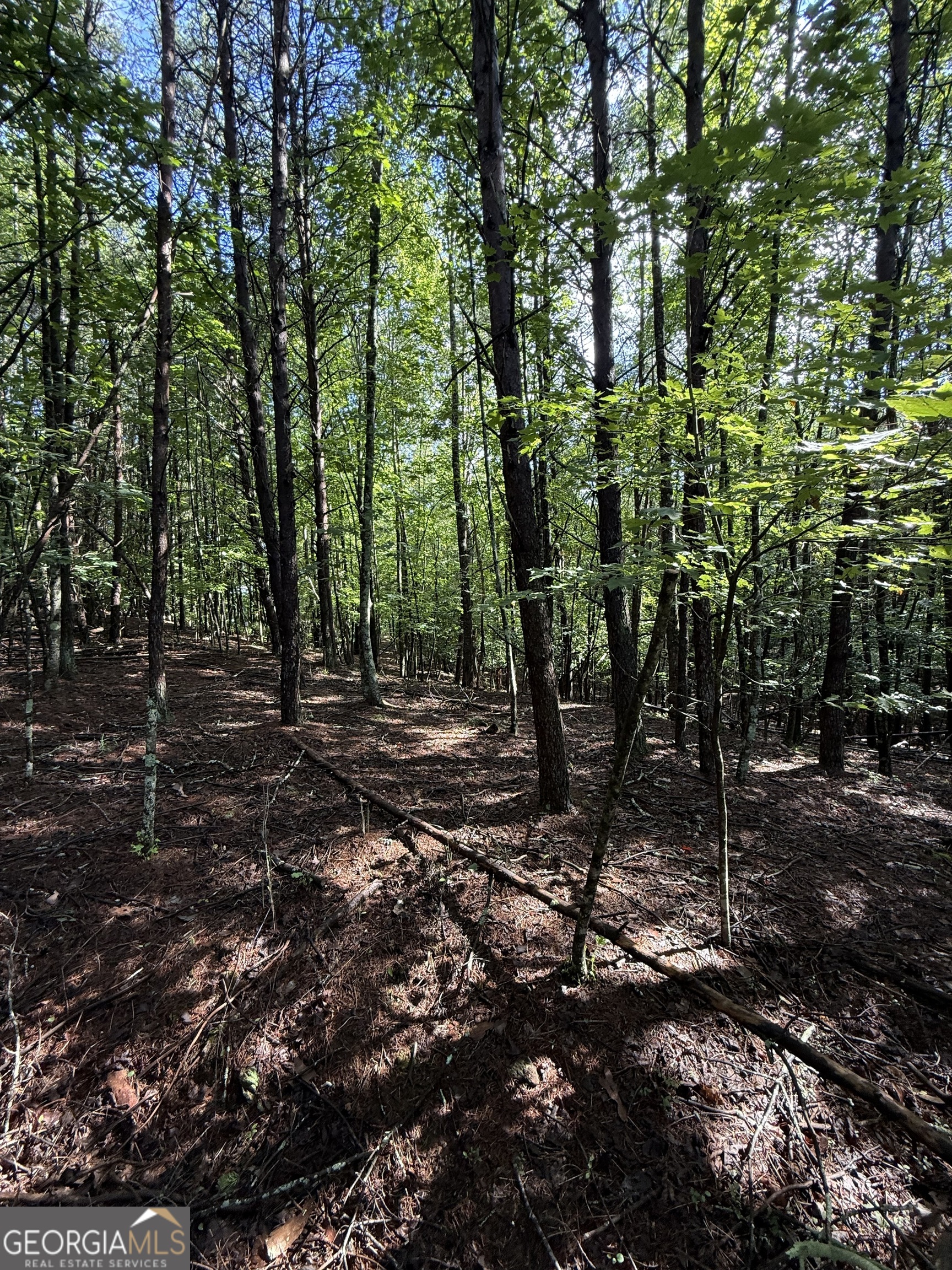 Residential lots with power and water available. Located in the heart of Panorama Estates. Build your dream home or investment property today!