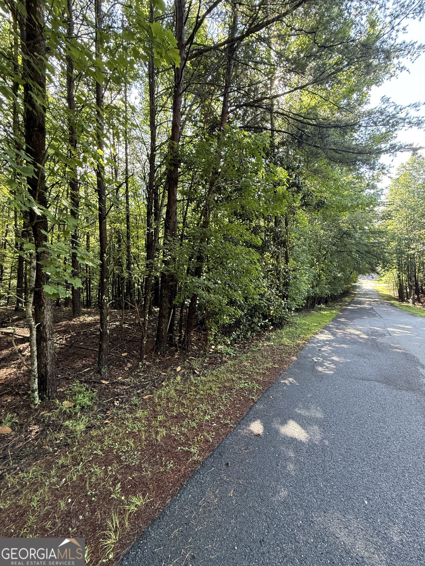 LOT 5 Marci LN