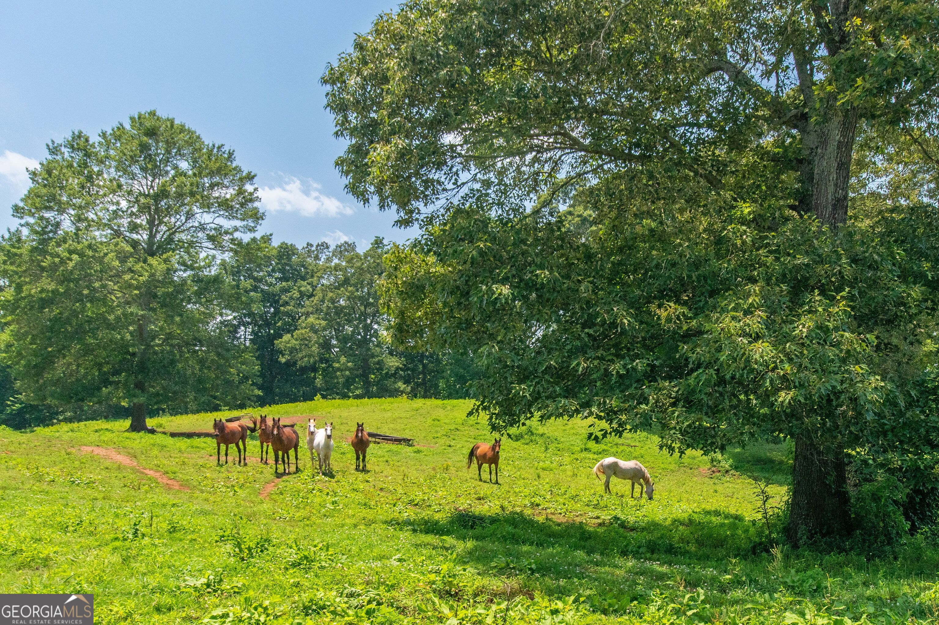 Roopville, Georgia 30170, United States, 4 Bedrooms Bedrooms, ,2 BathroomsBathrooms,Residential,Active,221570