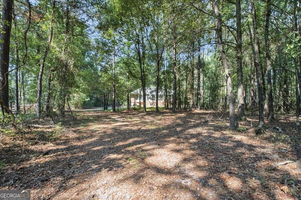 Photo of 3925 Pate Road, Loganville, GA 30052 (MLS # 10852754)