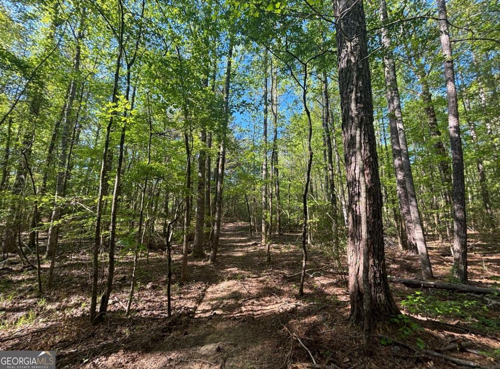 Photo of 3148 Trammell Bottom Road, Hogansville, GA 30230 (MLS # 10738137)