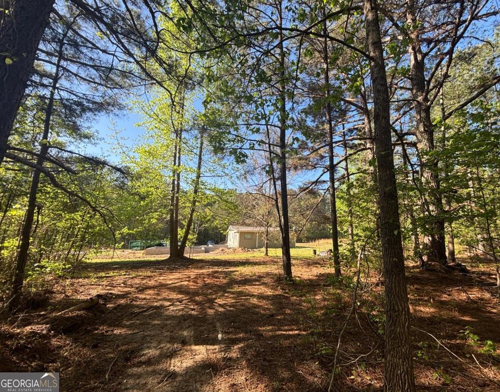 Photo of 3148 Trammell Bottom Road, Hogansville, GA 30230 (MLS # 10738137)
