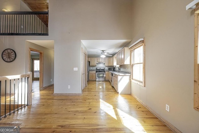 12 Mango CIR