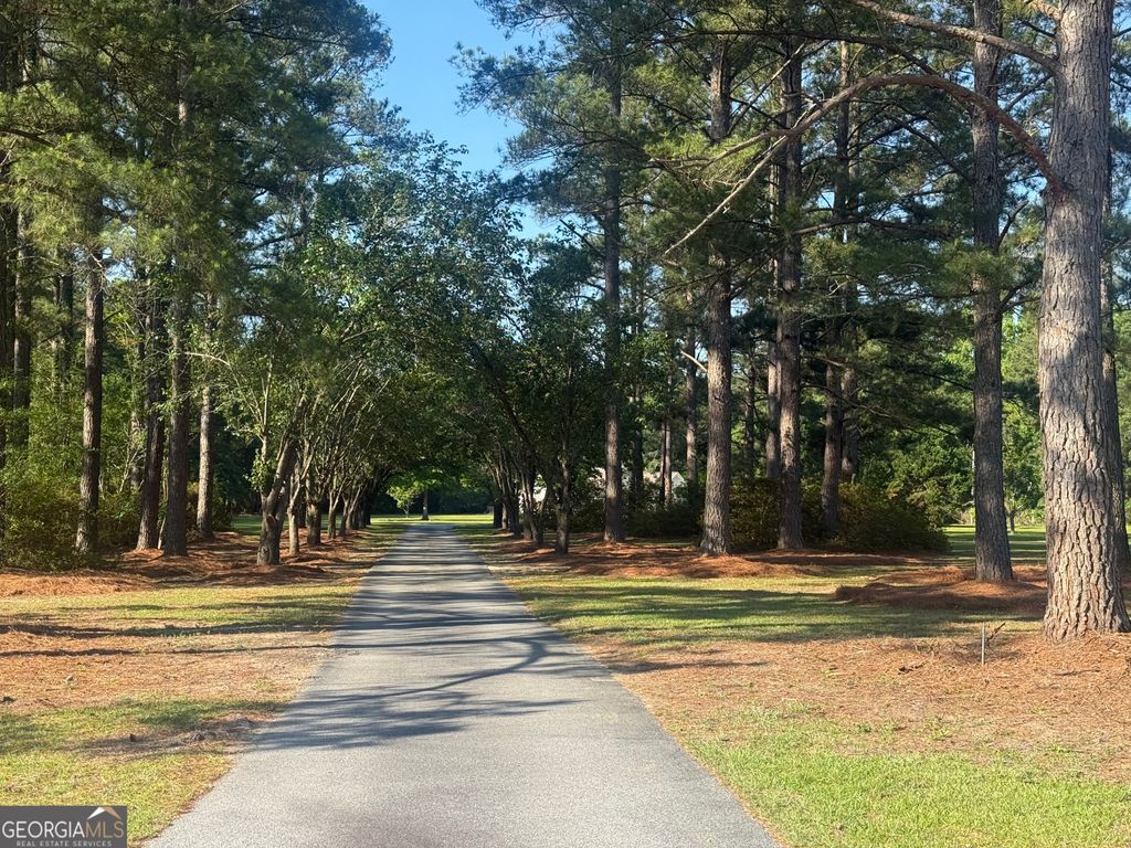 Photo of 1017 Cobb Road, Statesboro, GA 30461 (MLS # 10766121)