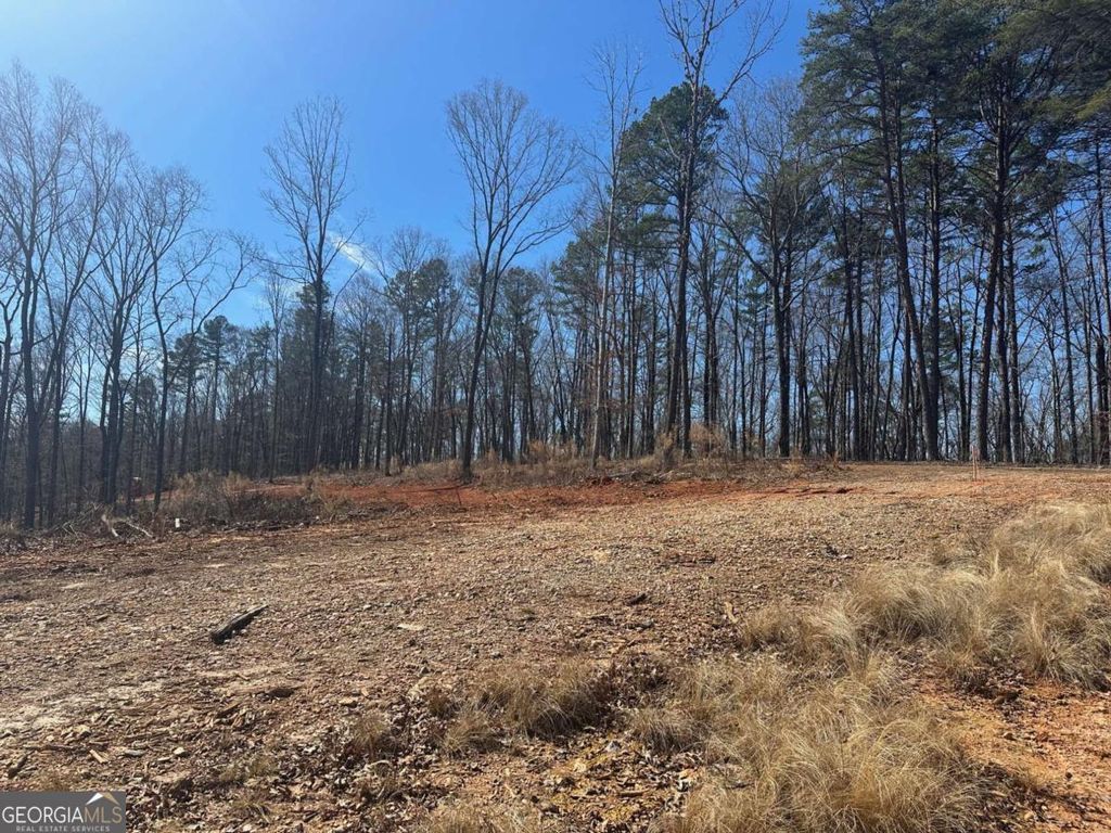 Photo of 1305 Lawrence Road, Dawsonville, GA 30534 (MLS # 10697948)