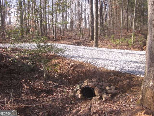 Pull in new entrance to this 70+ Acre tract that has been in the family a long time and is located on a private gravel road behind Winery and Vineyard just off Yukon Road only 15 minutes from Wal-Mart in Ellijay. Property is located on Gilmer/Pickens line landing in Gilmer and New Clear Creek School District. Perfect for family complex offering multiple home sites with panoramic views. Property has been groomed over the last couple of years including a select timber harvest performed by Georgia Reg. Forester #1819 to thin and manage existing stand of timber. Resulted in opening up spectacular views and potential home sites while leaving many hardwoods, dogwoods and maples for gorgeous Fall Colors. Also, a network of roads were established throughout the property along with installation of underground utilities with both electrical, phone and internet services for easy development of family complex. Deer are running around everywhere enjoying the new legumes and undergrowth that is encouraged now from opening the forest canopy. Several openings now exist that are ideal for planting and establishing new wildlife food plots. Turkeys love it too, come hear them gobbling for a spring mate! A real bonus is a small clear running stream that runs the fern valley in the dead center of the property offering a wonderful place for a small pond to garnish your project. Great host of neighbors are forming a wonderful large tract neighborhood behind the winery without the restraints and financial burden of a useless HOA! If you want to be a part of this rare opportunity, don't wait too long! Friendly neighborhood dogs may come say Hi. They have always been friendly.
