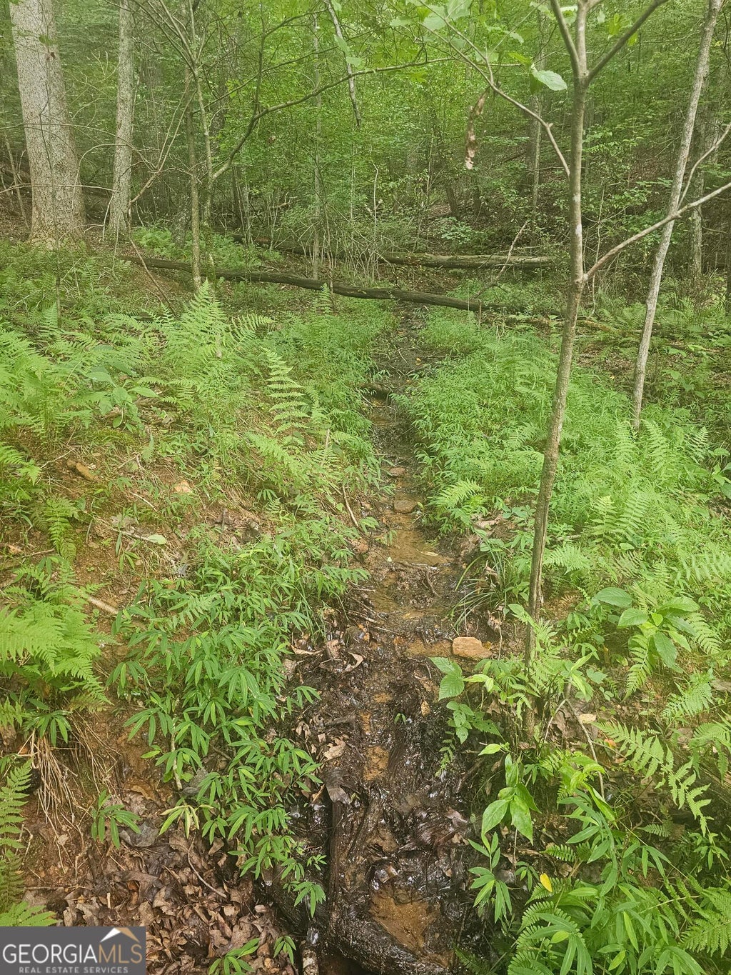 Photo of 0 Watkins Road, Blue Ridge, GA 30513 (MLS # 10799037)