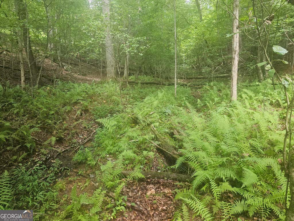 Photo of 0 Watkins Road, Blue Ridge, GA 30513 (MLS # 10799037)