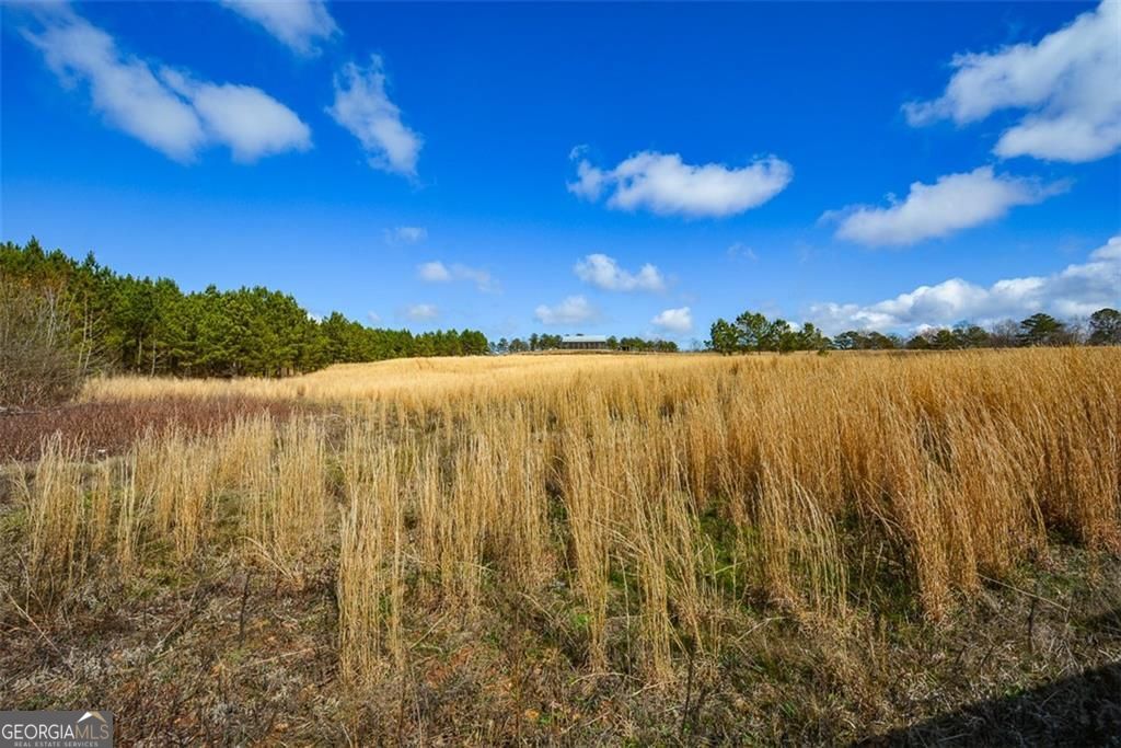 119 Inland Drive 3 acres