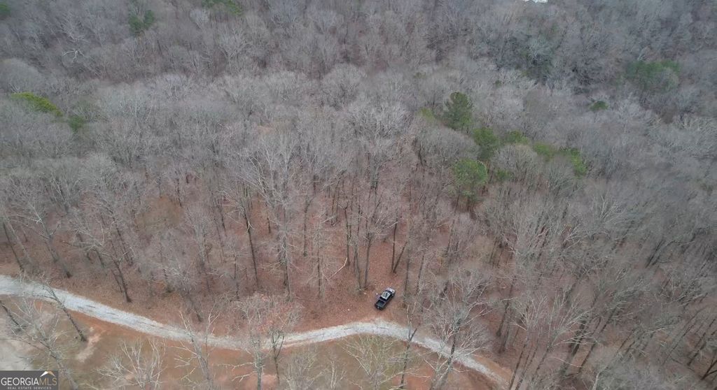 Photo of 427 Kinney Creek Lane, Pendergrass, GA 30567 (MLS # 10661409)