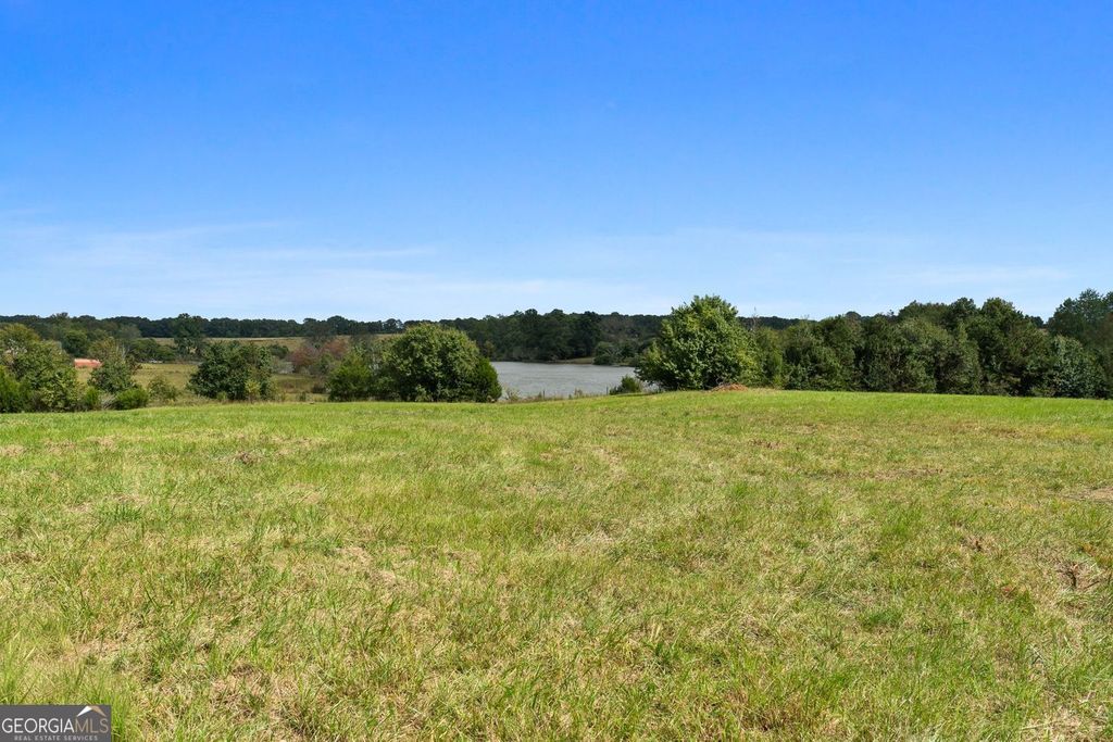 Photo of 0 Barnesville Highway, The Rock, GA 30285 (MLS # 10624741)