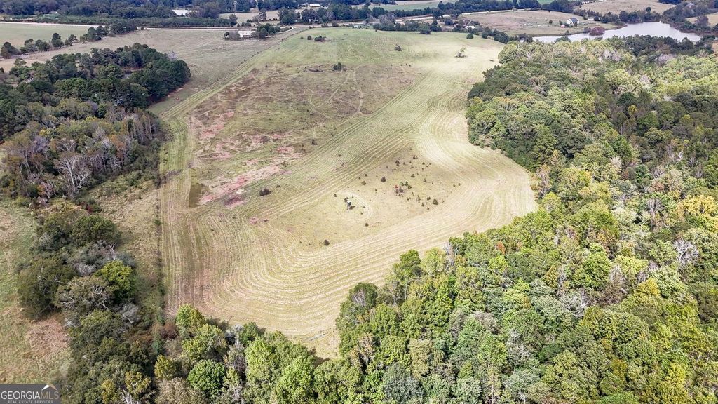 Photo of 0 Barnesville Highway, The Rock, GA 30285 (MLS # 10624741)