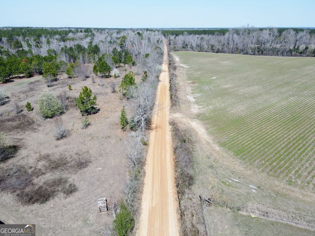 Photo of 0 Bill Glenn Road, Swainsboro, GA 30401 (MLS # 10701428)