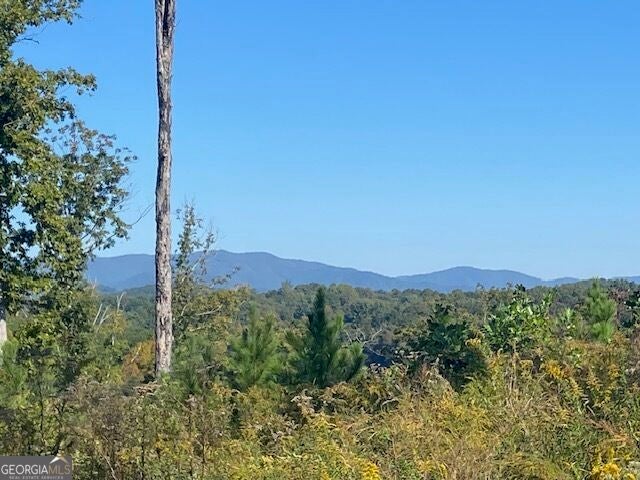 Photo of 0 Mystic Drive, Ellijay, GA 30540 (MLS # 10878611)