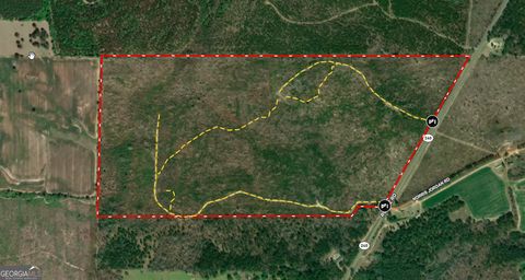 Photo of 130518 Ronnie Road, Buena Vista, GA 31803 (MLS # 10698786)