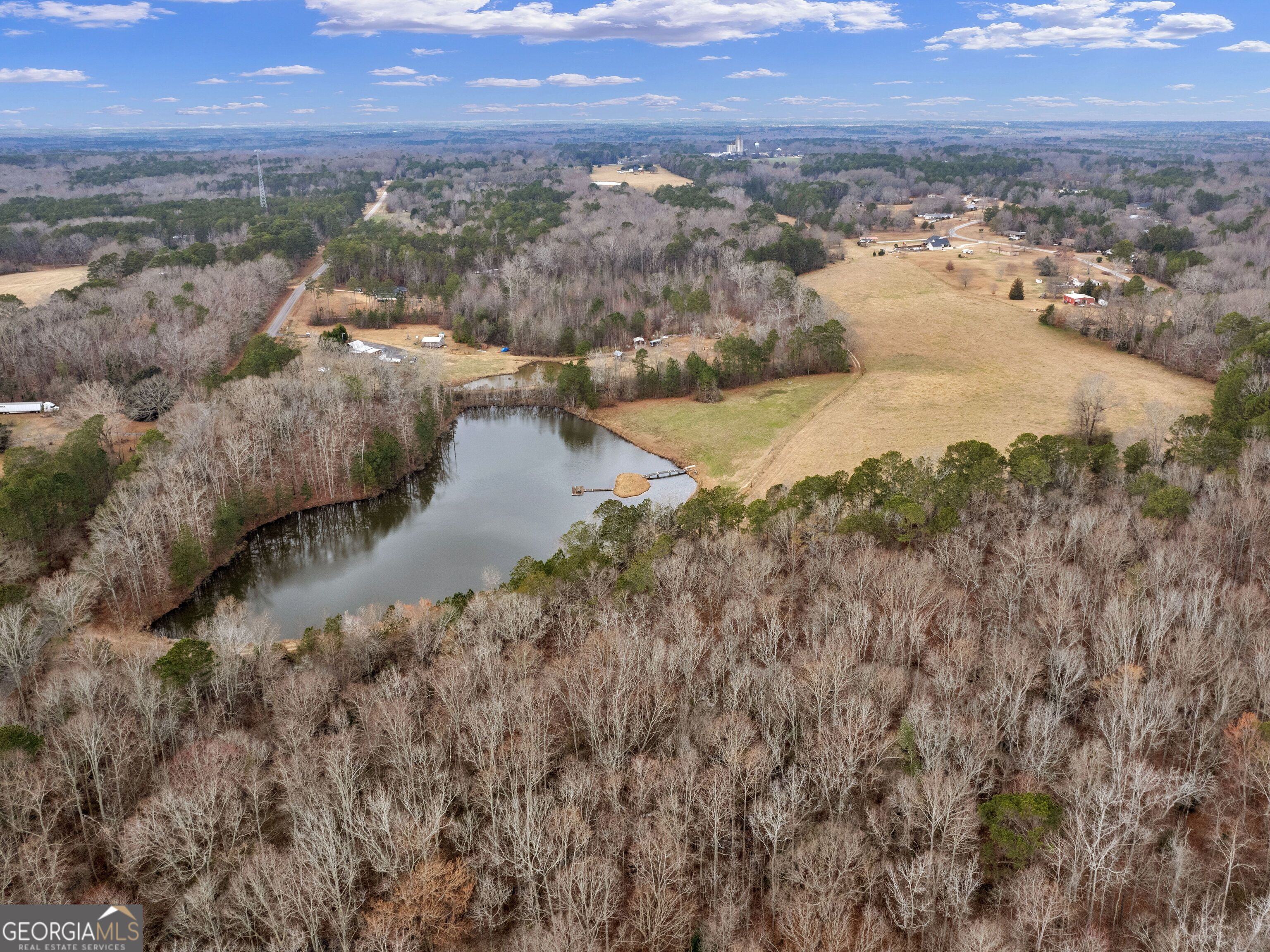 46 ACRES LAMAR COUNTY LINE RD