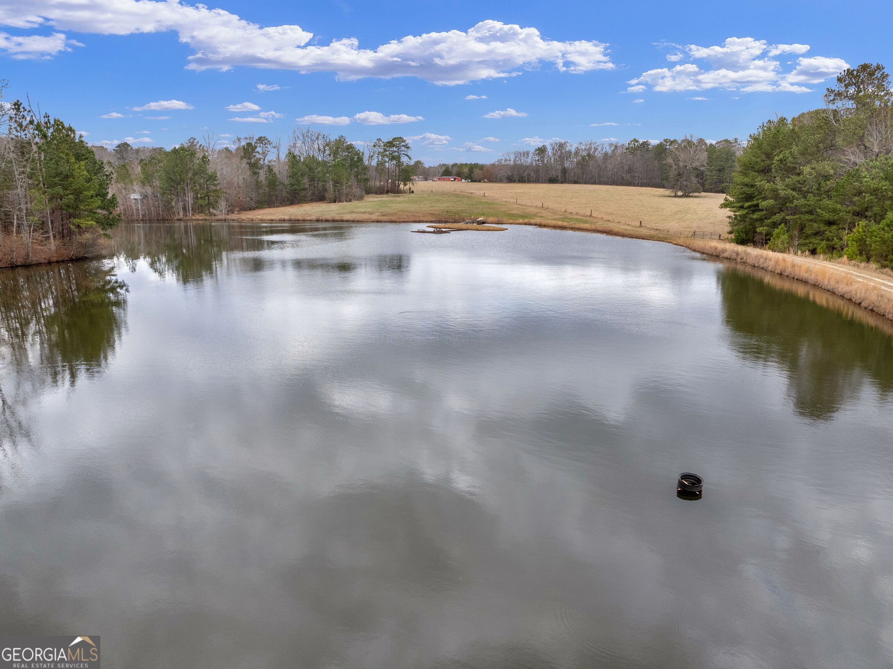 46 ACRES LAMAR COUNTY LINE RD