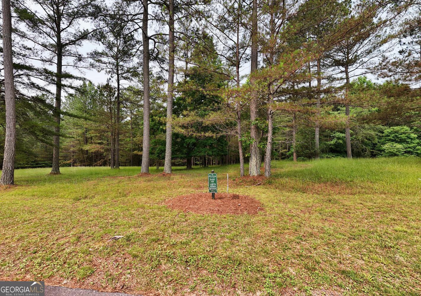 Beautiful 1.12-acre lot located in the desirable Sanctuary subdivision in Blairsville, GA. Gently sloping and ready for your dream home, this property offers the perfect setting for mountain living. Enjoy peace and privacy in a well-maintained neighborhood while being just minutes from Lake Nottely, offering boating, fishing, and hiking opportunities. Conveniently situated between Blairsville, GA and Murphy, NC, with easy access to shops, dining, and outdoor adventures. Don't miss this opportunity to build in one of North Georgia's most scenic communities!