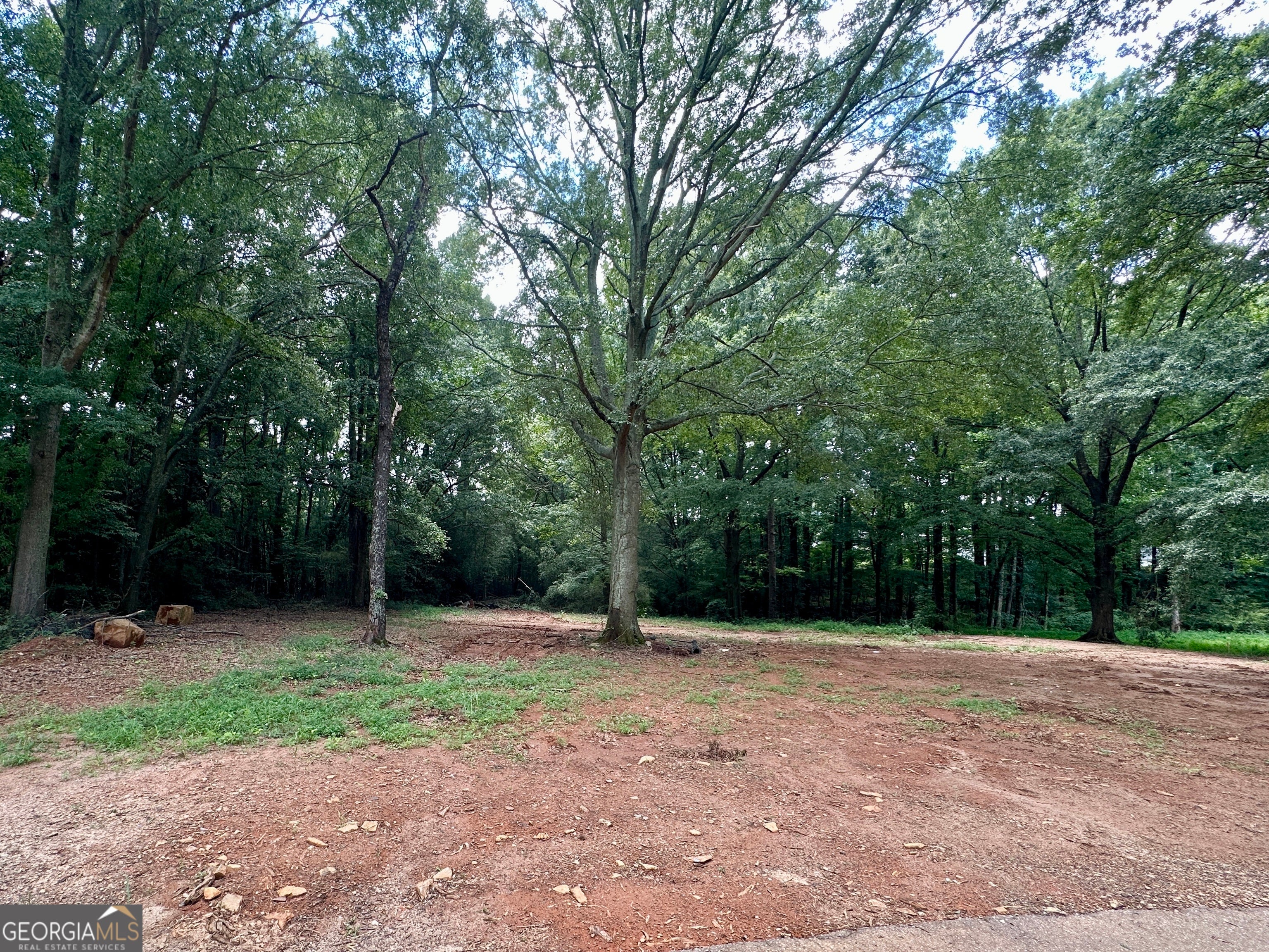LOT 1 Pine Street - 1 Acre
