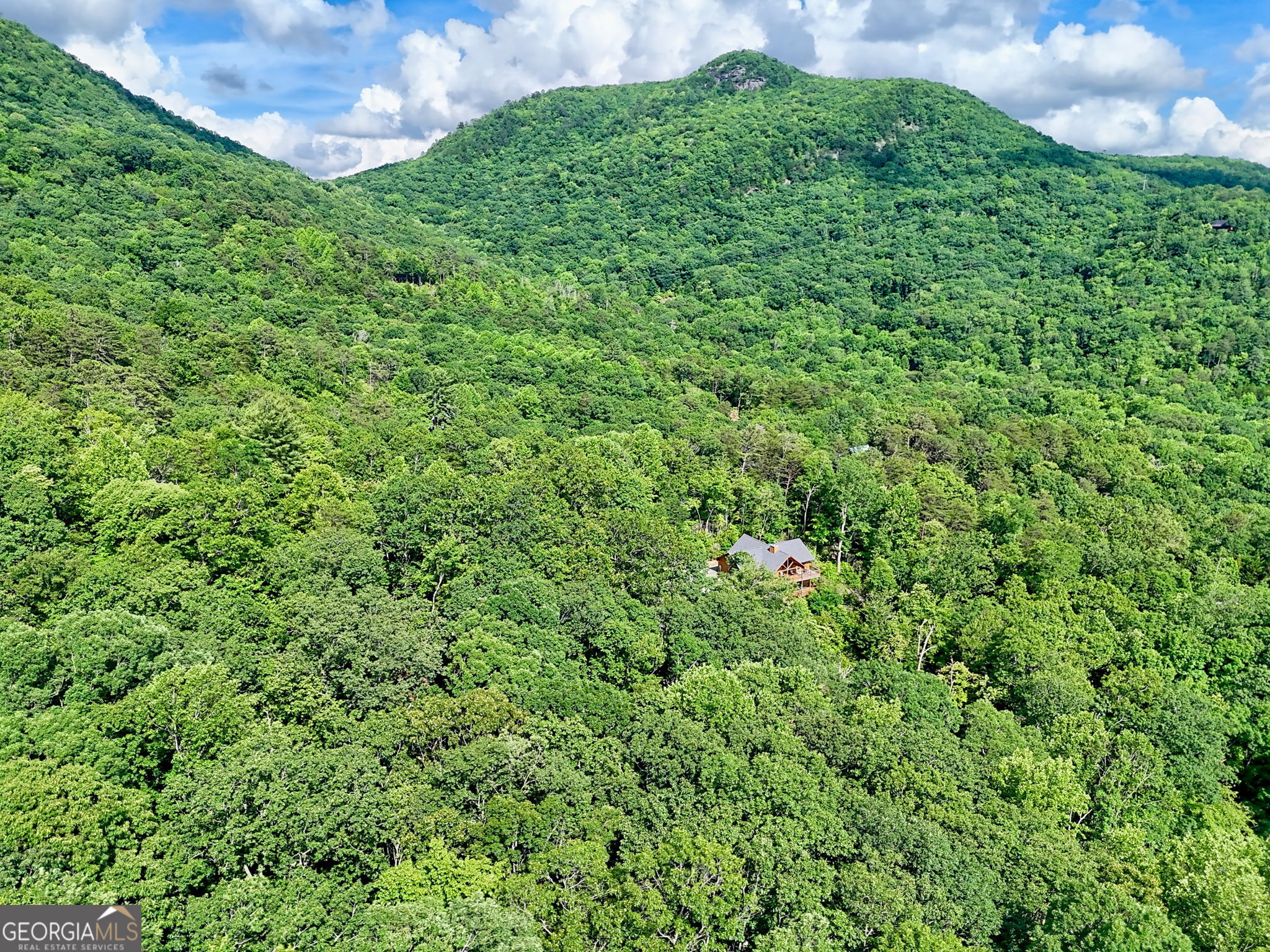 Bartram Ridge - Residential
