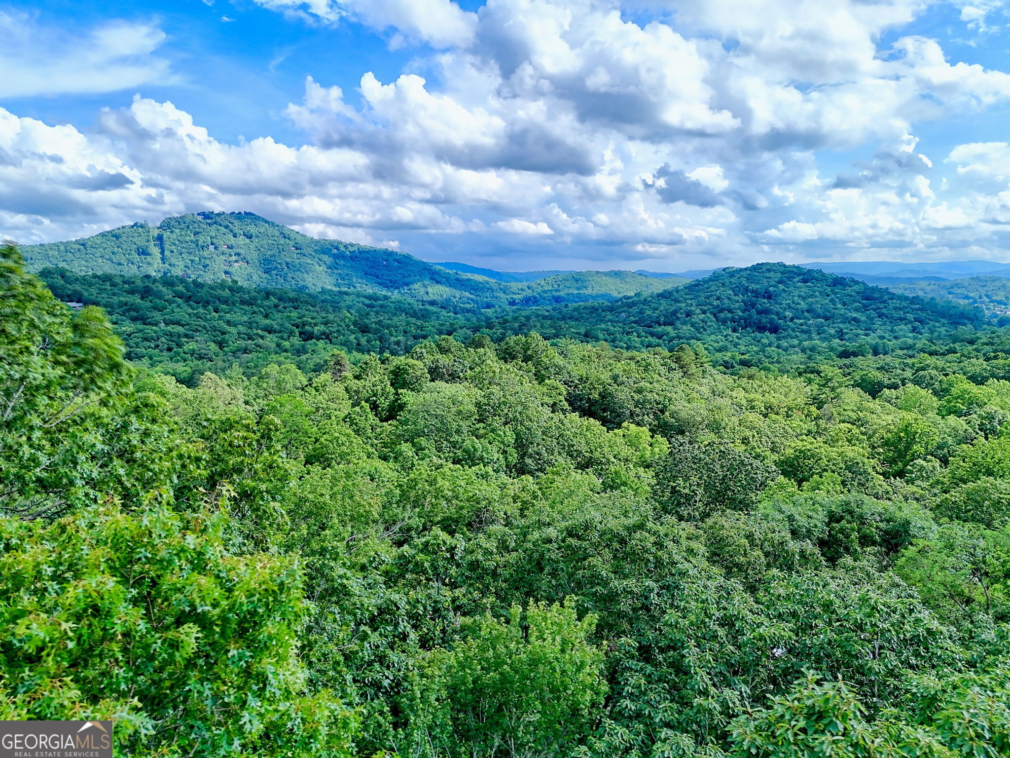 Bartram Ridge - Residential