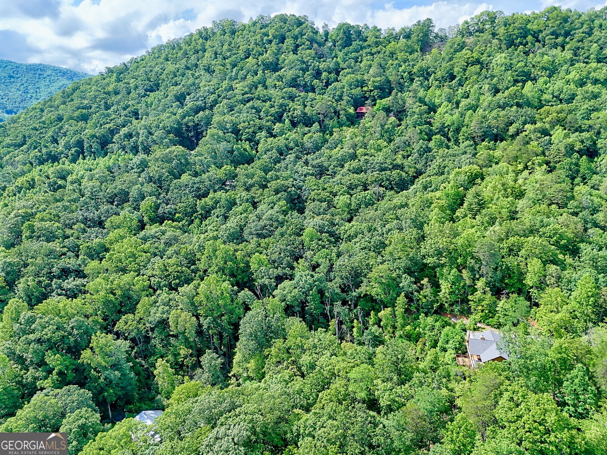 Bartram Ridge - Residential