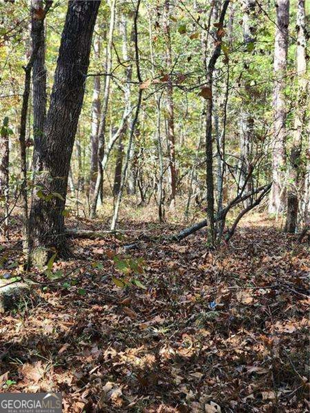 Photo of 00 Pine Ridge Road, White, GA 30184 (MLS # 10676513)