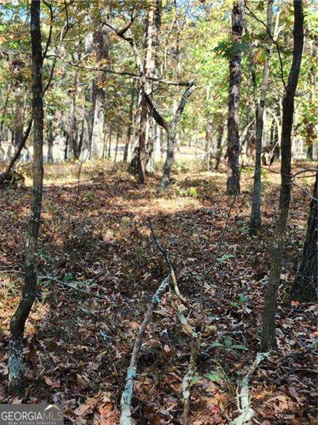 Photo of 00 Pine Ridge Road, White, GA 30184 (MLS # 10676513)