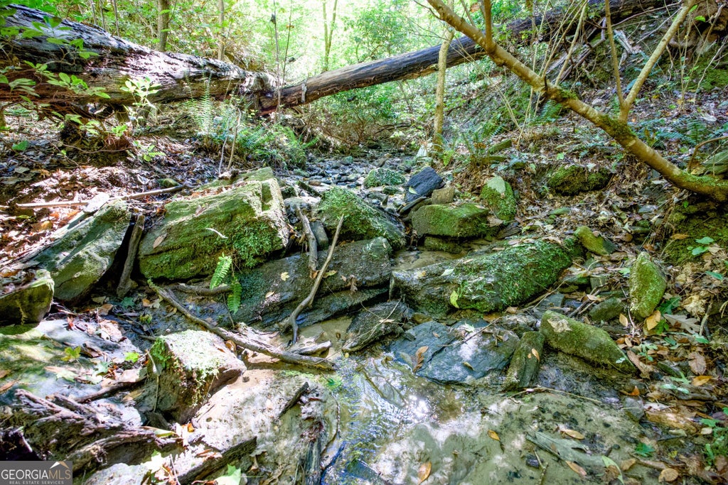 Photo of 57 Soapstone Road, Baldwin, GA 30511 (MLS # 10874564)