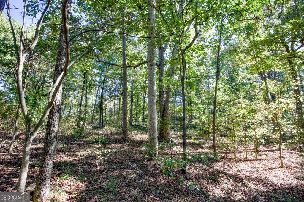 Photo of 57 Soapstone Road, Baldwin, GA 30511 (MLS # 10874564)