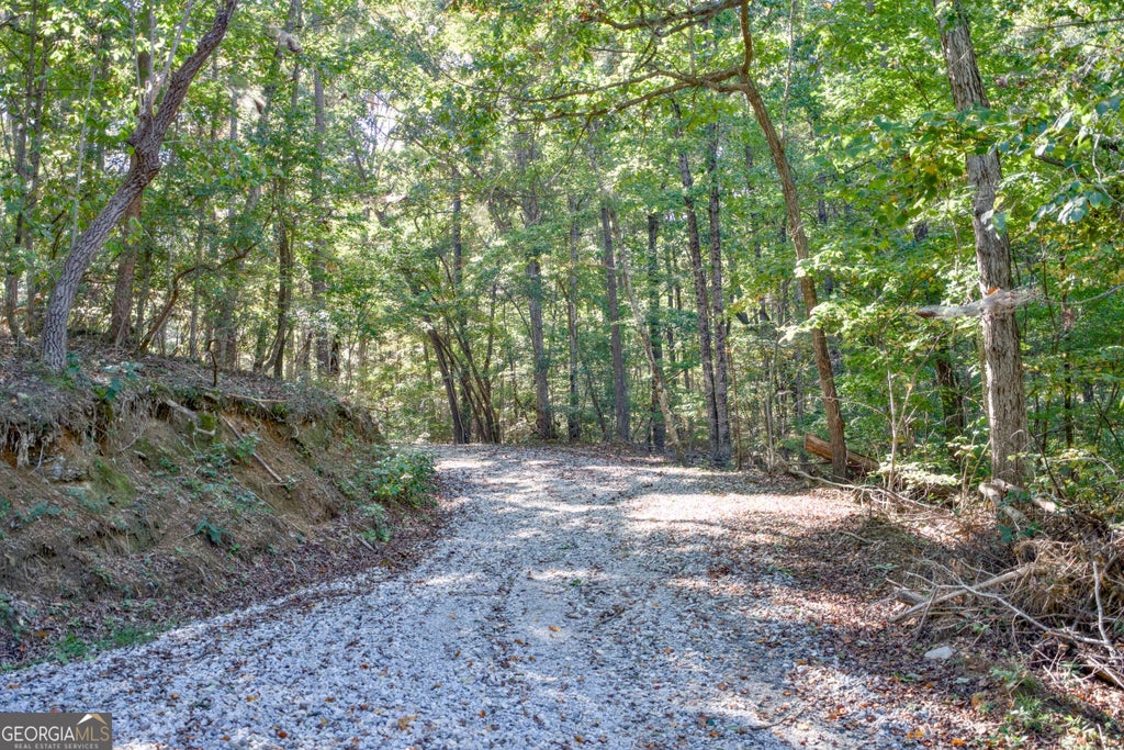 Photo of 57 Soapstone Road, Baldwin, GA 30511 (MLS # 10874564)