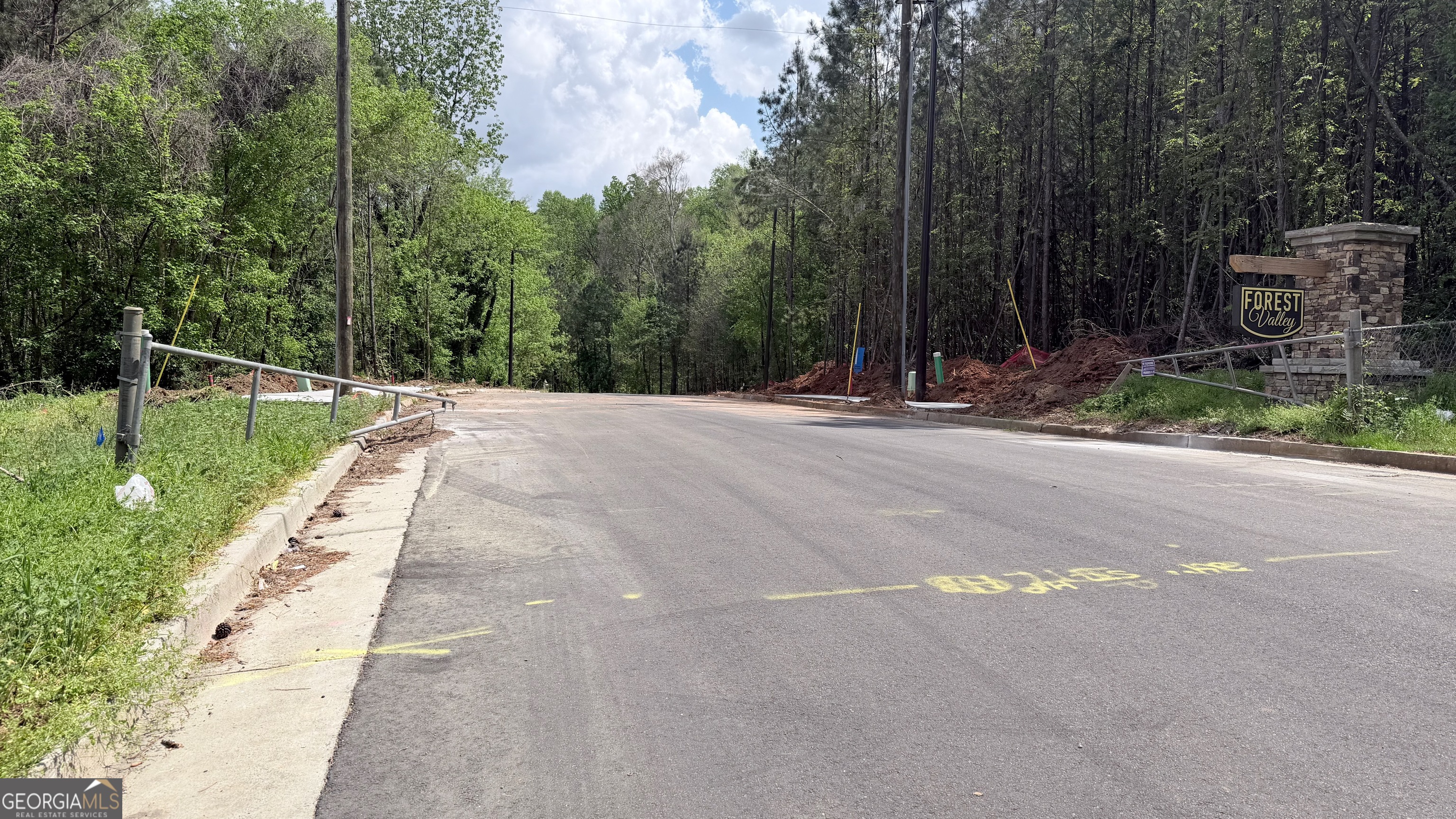 1099 Forest Valley DR SE