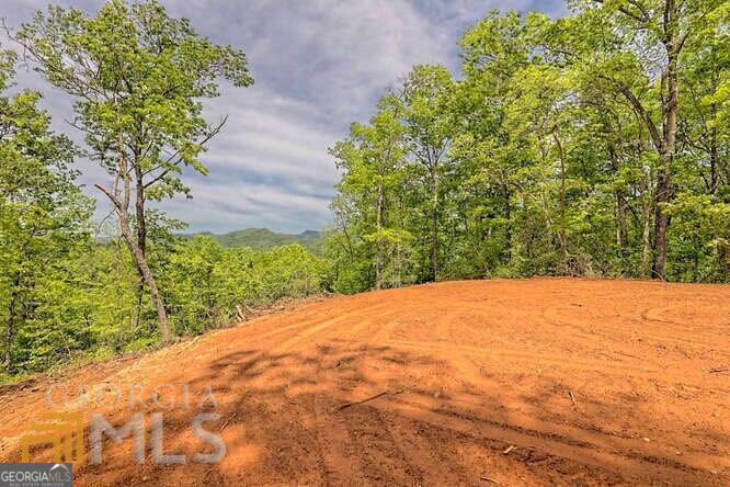 Photo of 0 Wynngate Drive #21, Dillard, GA 30537 (MLS # 10795597)