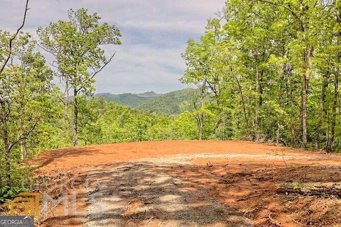 Photo of 0 Wynngate Drive #21, Dillard, GA 30537 (MLS # 10795597)