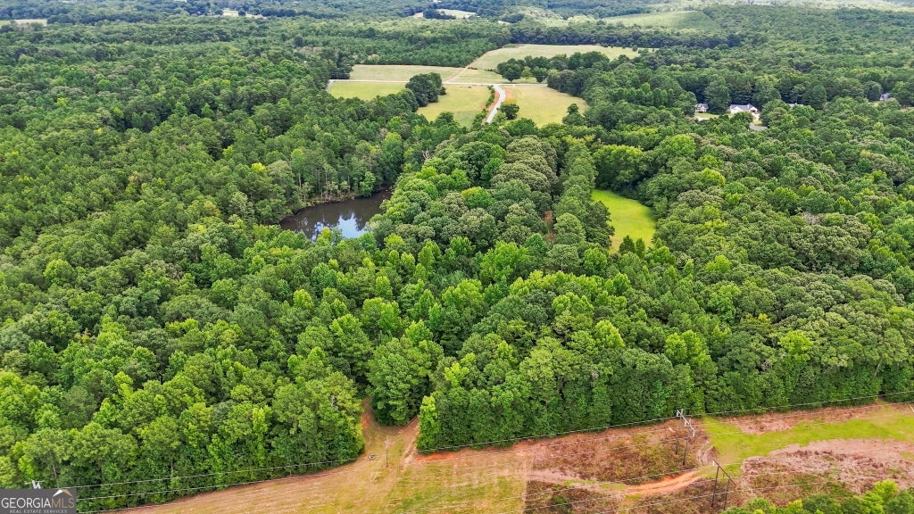 Photo of 212 Joe Lane Road, Jackson, GA 30233 (MLS # 10821952)