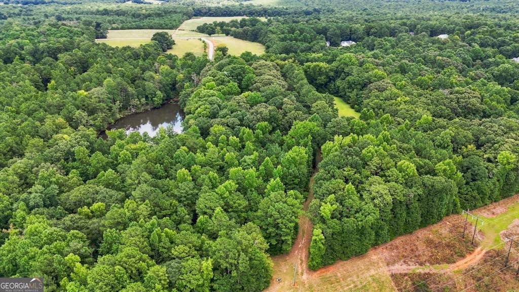 Photo of 212 Joe Lane Road, Jackson, GA 30233 (MLS # 10821952)