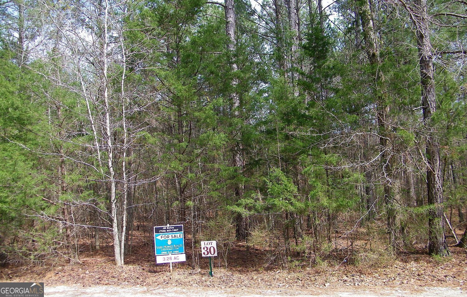 HOT SUMMER SALE! Lot 30 - Beautiful secluded 3.26 acre lot with over 700 feet of road frontage and 650 foot border with undeveloped timberland! The closest Phase II lot to Blackberry Bend Community Picnic & Lake Access Area, this lot features easy access and several different home site locations. Beautiful mixed woodlands with interior trails and clear areas to camp/build! Blackberry Bend - This is one of the most well-planned developments I've ever had the pleasure of being a part of. Every aspect of the land-each rock, tree, and blade of grass-was carefully considered to create a community that harmonizes with nature. The developer's vision was clear: to ensure privacy and tranquility, where no neighbor feels intruded upon-because "no one wants to see their neighbor cooking a hot dog!" Nestled within a gated, private community, these lots have been meticulously laid out to preserve the land's natural beauty. The design embraces the landscape's existing features, including springs, natural drains, and ridges, allowing homeowners to build while maintaining the integrity of their surroundings. The lots remain in their natural state, giving buyers the freedom to clear only the areas they wish, preserving the serene, wooded privacy. Primarily populated with beautiful hardwood trees, every lot offers stunning views and exclusive lake access via a private community parking and picnic area. Camping is welcomed as lot owners are encouraged to enjoy their property even before building. Homes must be a minimum of 1,000 square feet, stick-built, ensuring a high standard for the community. Protective covenants are in place to maintain the pristine environment and enhance the long-term aesthetic and property value of this truly unique retreat.
