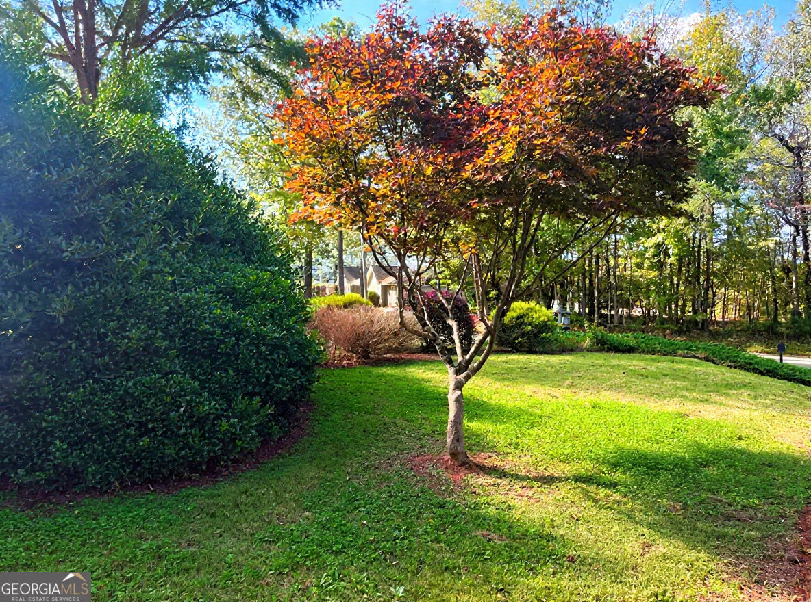 31 Williamsburg DR NW