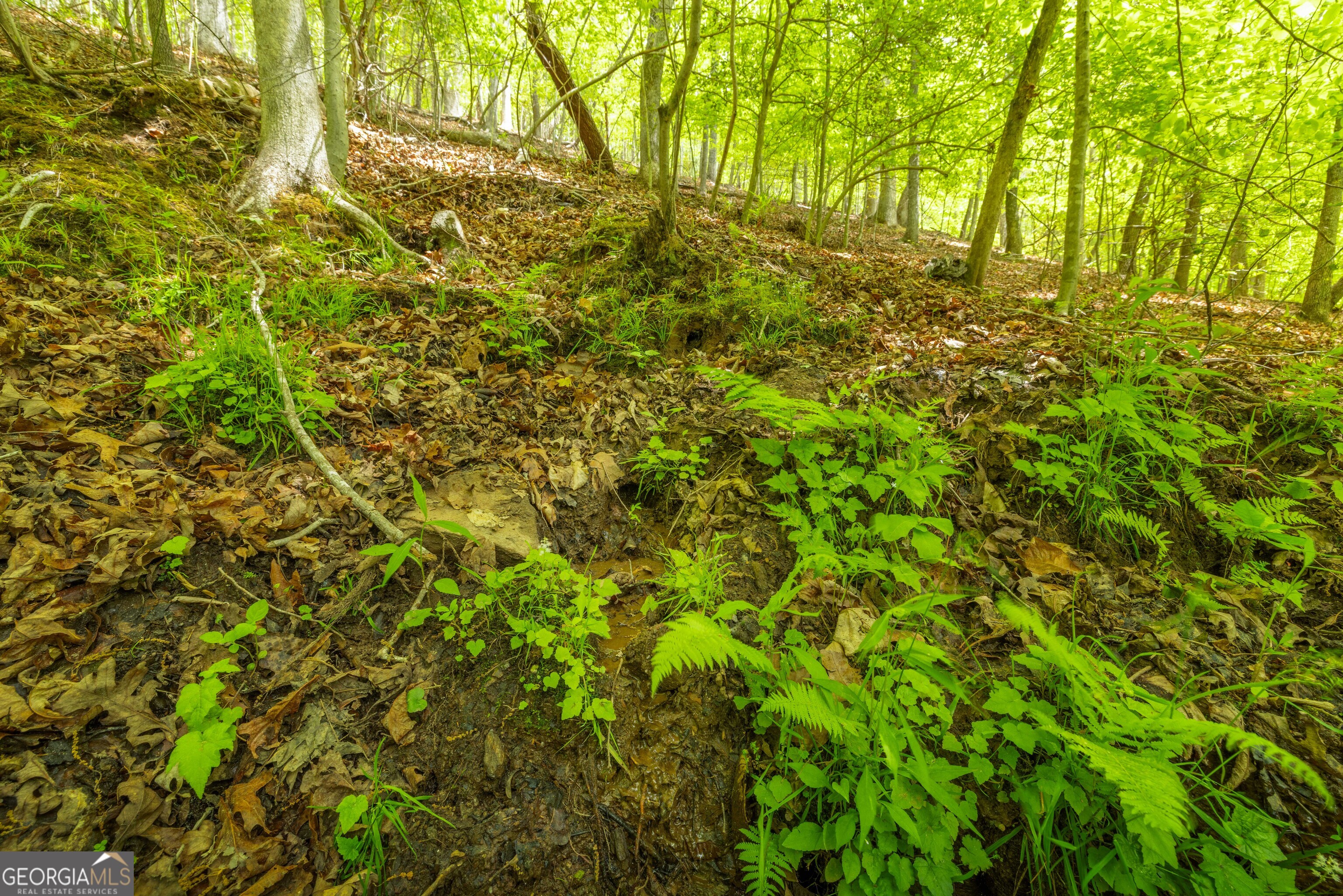 2.90 ACRES Galloway Road