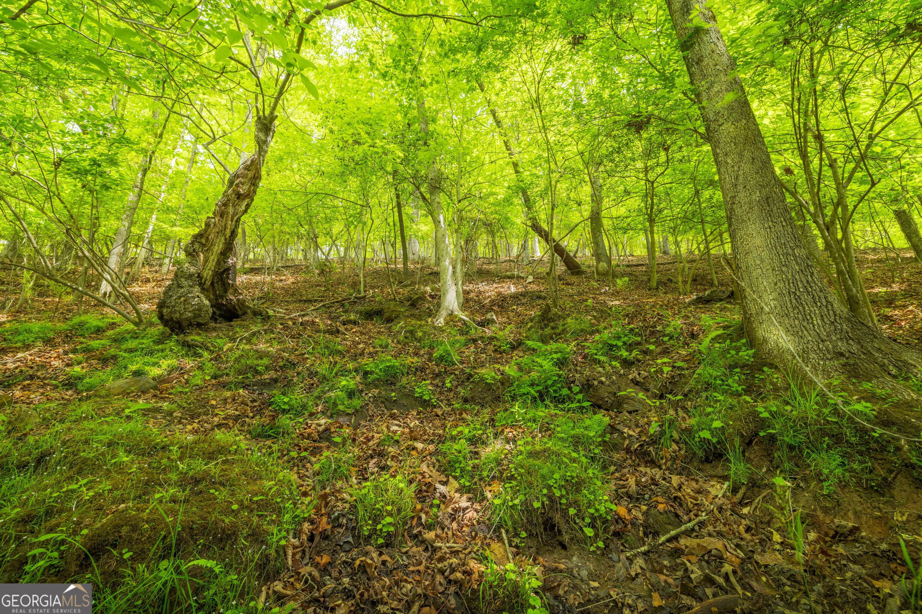 2.90 ACRES Galloway Road