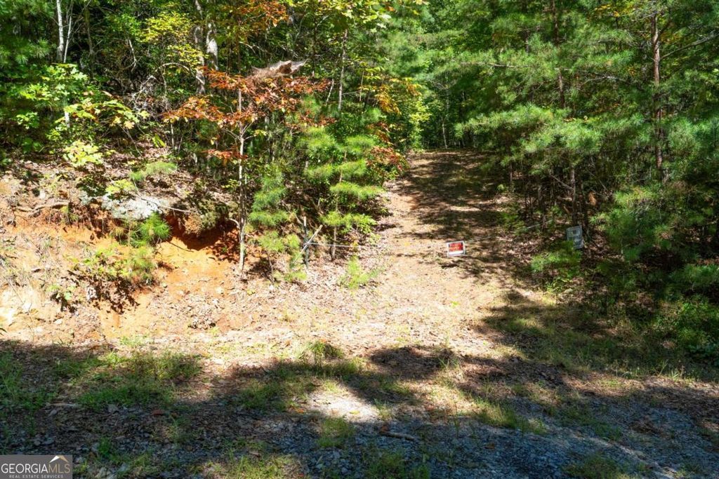 Photo of 67 Raintree Bend #LOT 6/7, Blue Ridge, GA 30513 (MLS # 10721045)