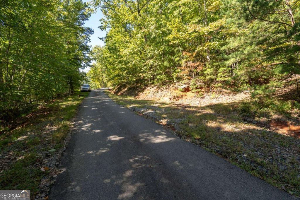 Photo of 67 Raintree Bend #LOT 6/7, Blue Ridge, GA 30513 (MLS # 10721045)